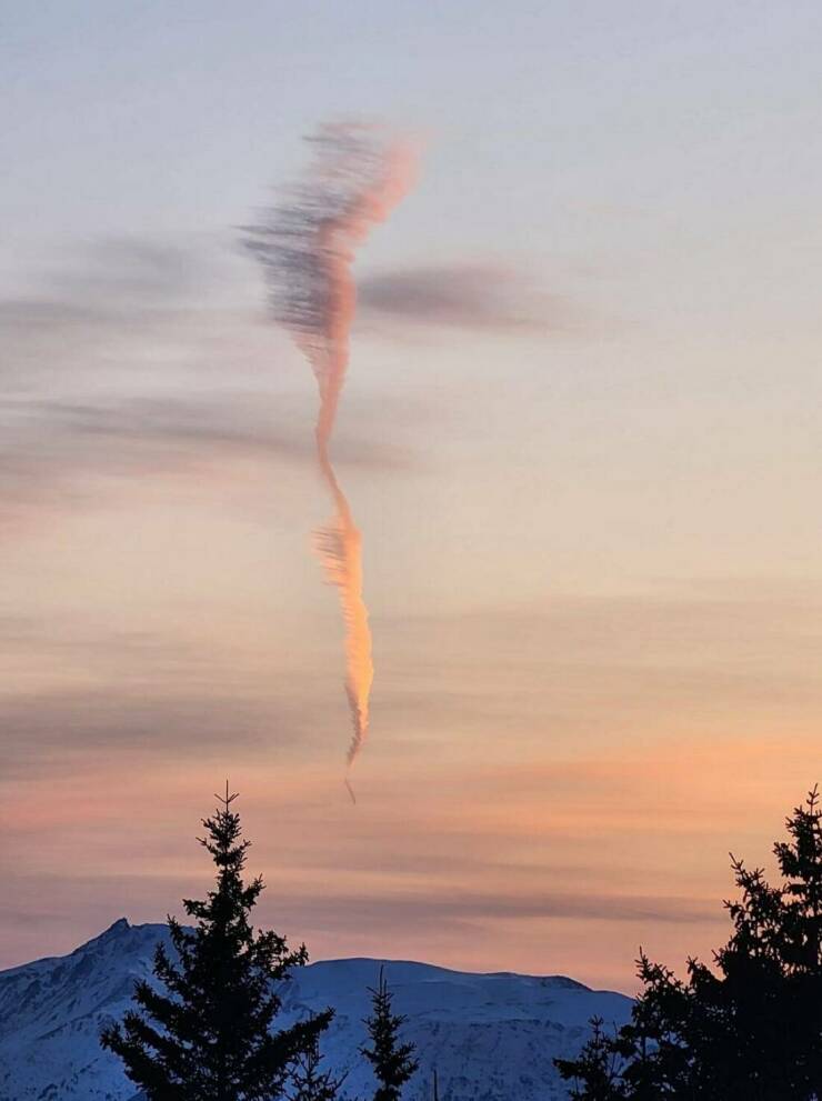 daily_picdump_4972_640_high_57.jpg