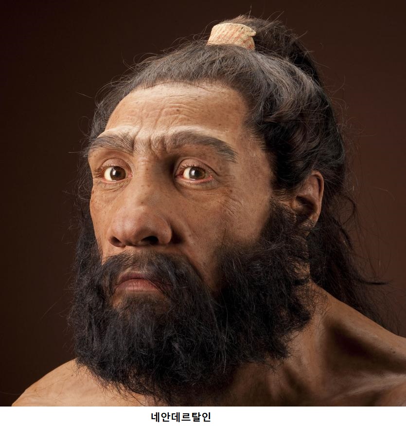 neanderthalensis_JG_Recon_Head_CC_3qtr_lt_sq.jpg