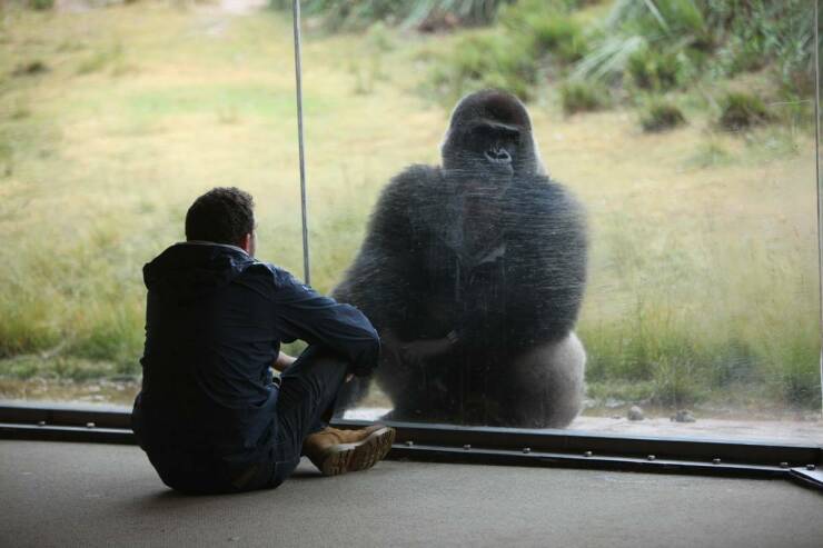 daily_picdump_4963_640_25.jpg