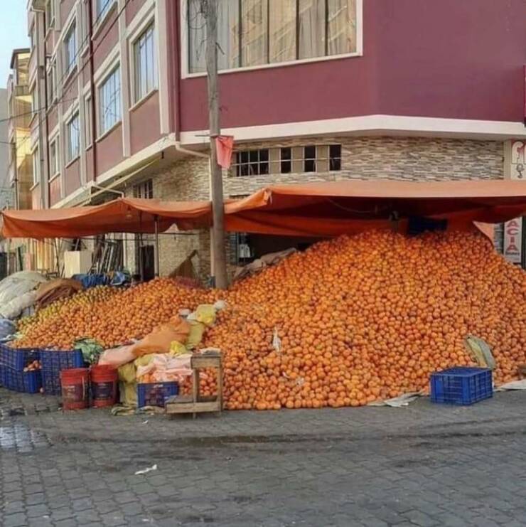 morning_picdump_4128_640_high_28.jpg