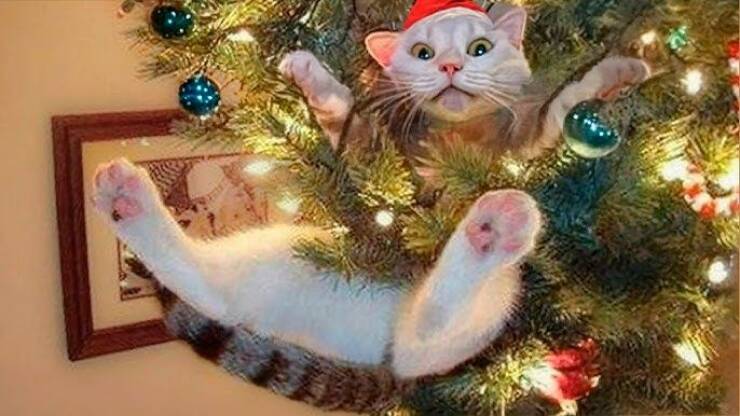 merry_christmas_to_our_beloved_izismilers_640_30.jpg