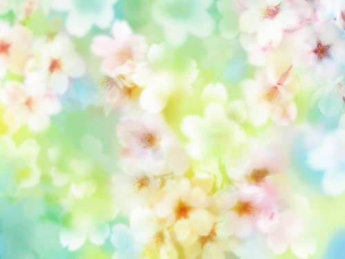 flower-art-beauty-outside-flower-1-screensaver.jpg