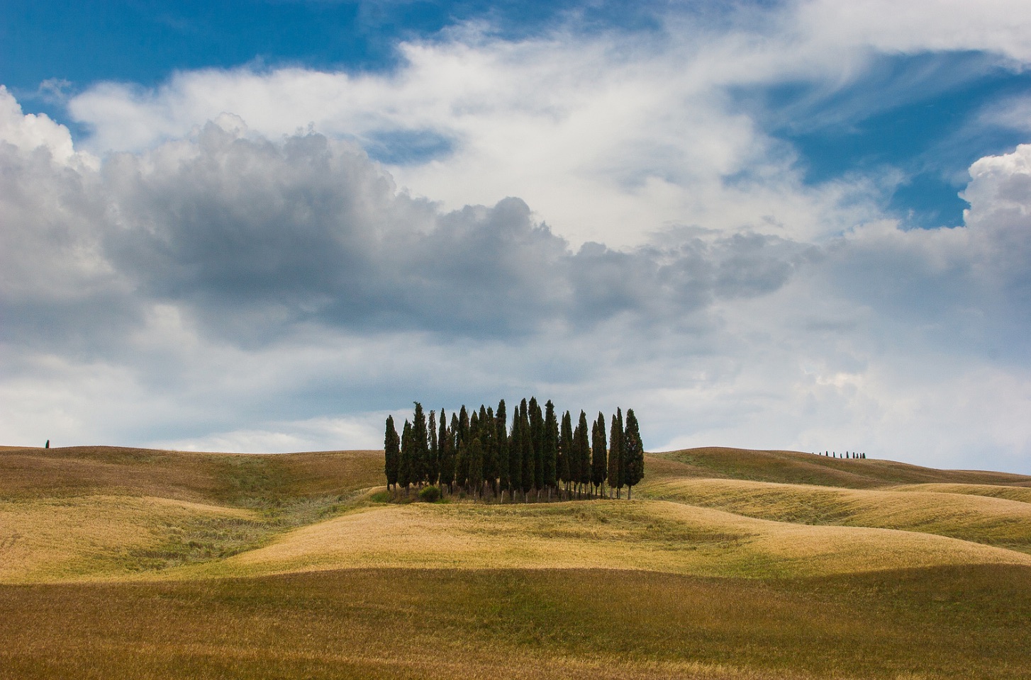 Lonely_Cypress___Located_near_San_Quirico_d_Orcia_in_Tuscany…___Mahmoud_Abuabdou___Flickr.jpg