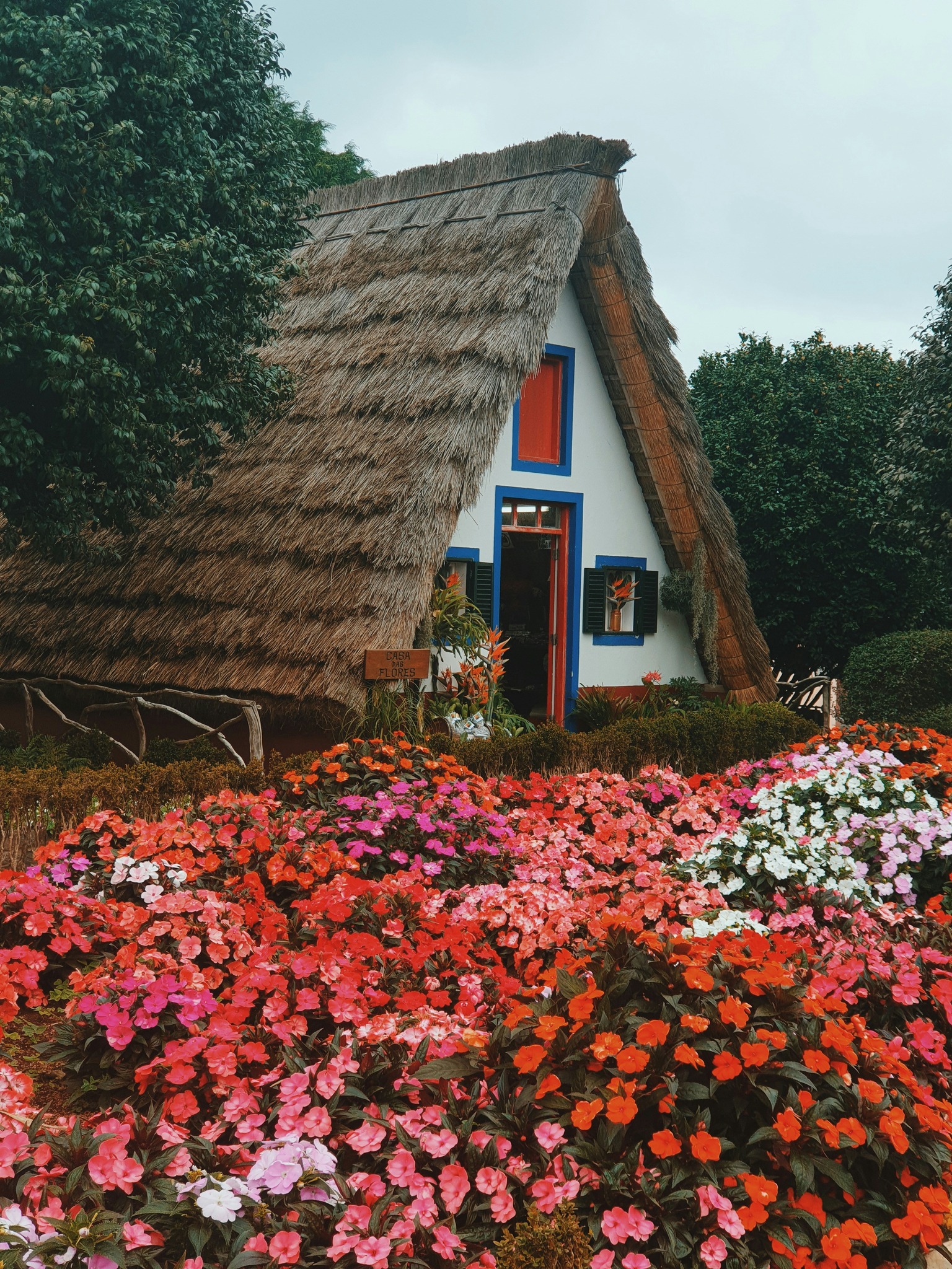 8462_n.jpg