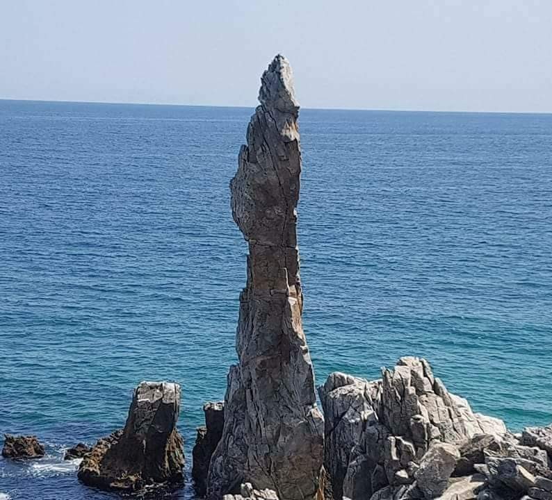 75849_n.jpg