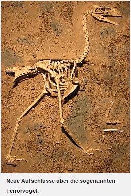 746184_Fast-vollstaendiges-Skelett-eines-Terrorvogels-gefunden.html-x.jpg
