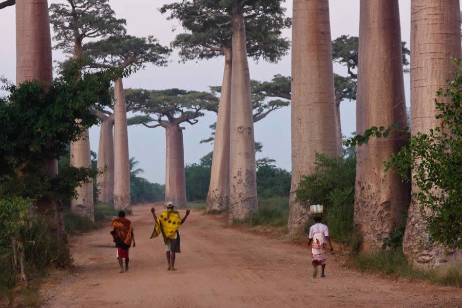 Madagaskar_07.jpg