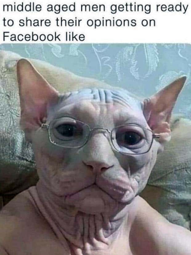 funny-pics-and-memes-10-1.jpg