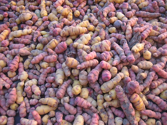 Peruvian Potatoes.jpg