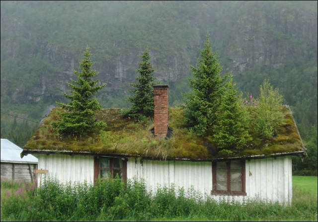 stunning_scenic_photos_of_the_norwegian_countryside_640_03.jpg