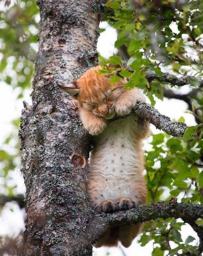 adorable_pics_that_feel_like_a_hug_for_your_soul_640_high_03.jpg