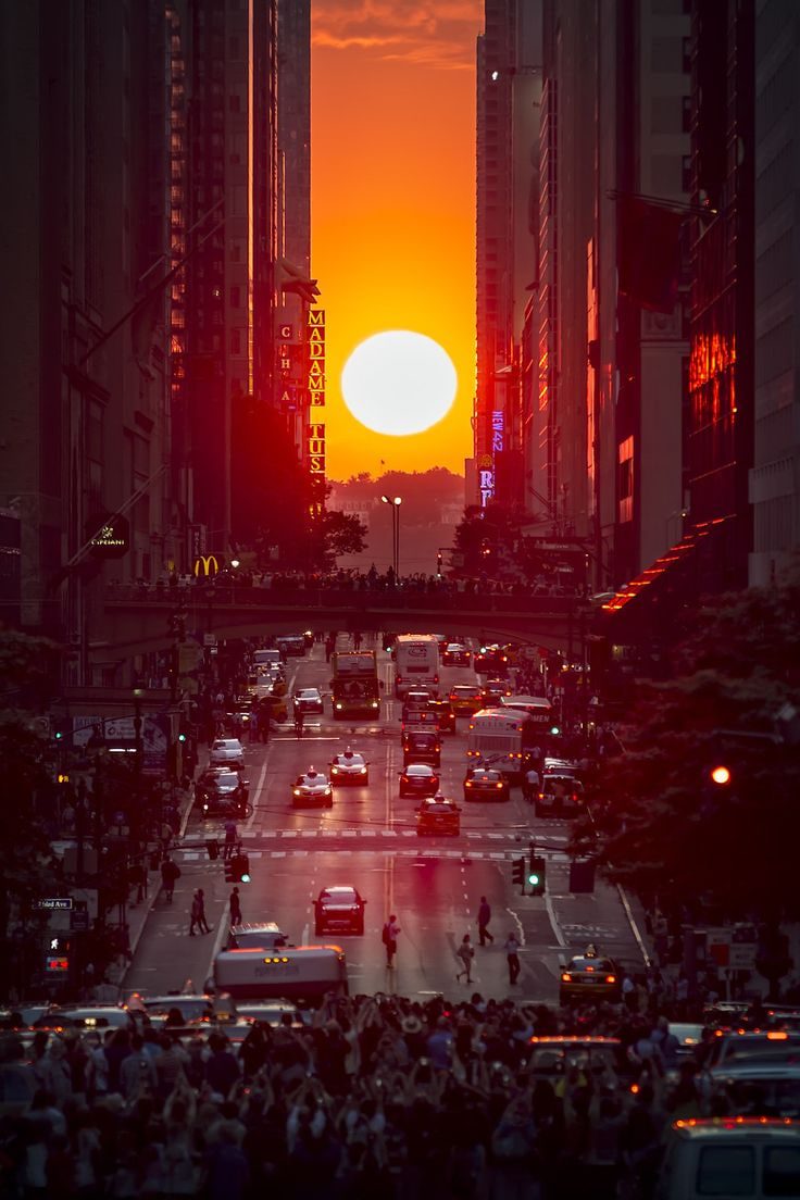 9597_n.jpg