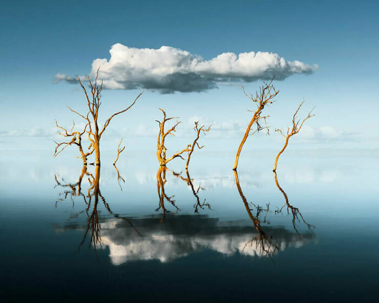 breathtaking_nature_photos_that_show_earths_true_beauty_640_03.jpg