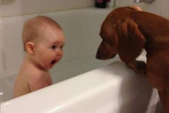Dog-Invades-Privacy-Of-Baby.jpg
