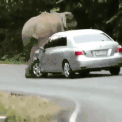 ataet.gif