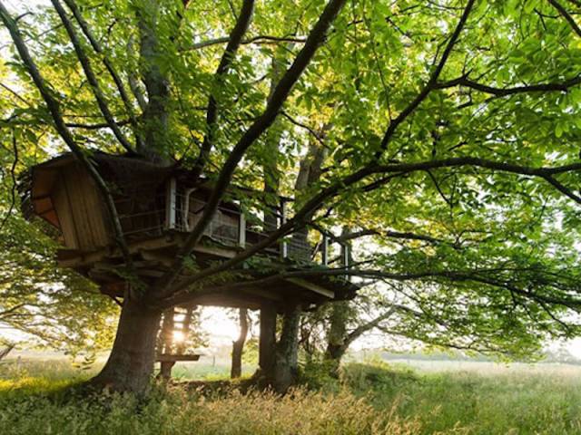 treehouses_are_everything_you_could_wish_for_to_escape_the_noise_of_the_city_640_31.jpg