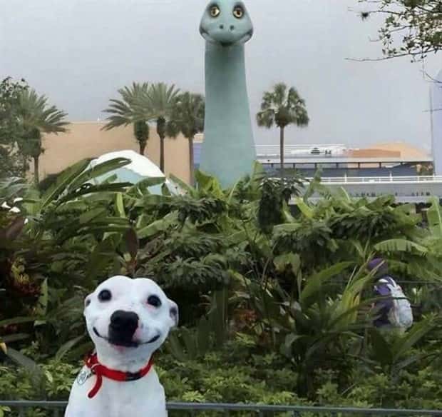 klyker-picdump-5-14-2025-24.jpg
