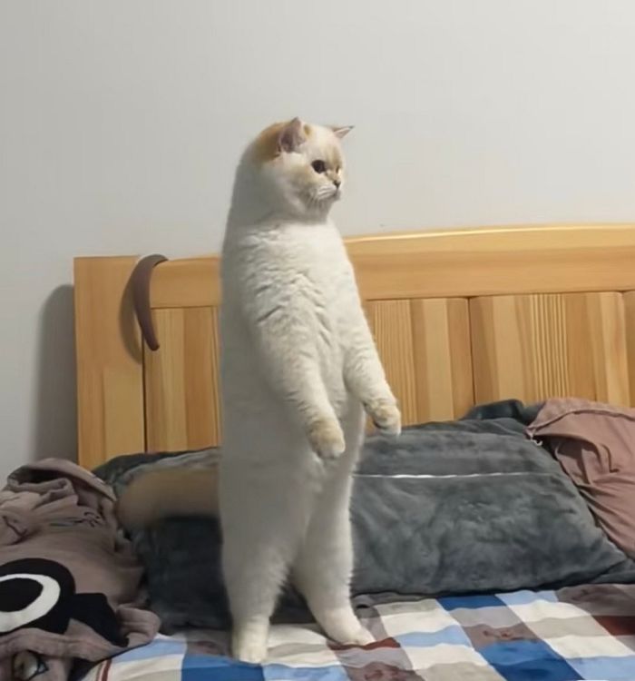 59755838555_n.jpg