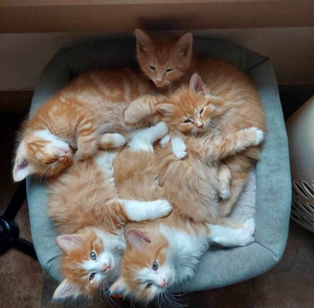 morning_picdump_4192_640_48.jpg