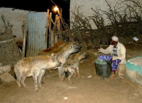 Ethiopia - Hyena Man.jpg