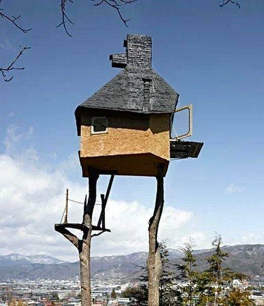 morning_picdump_4104_640_high_07.jpg