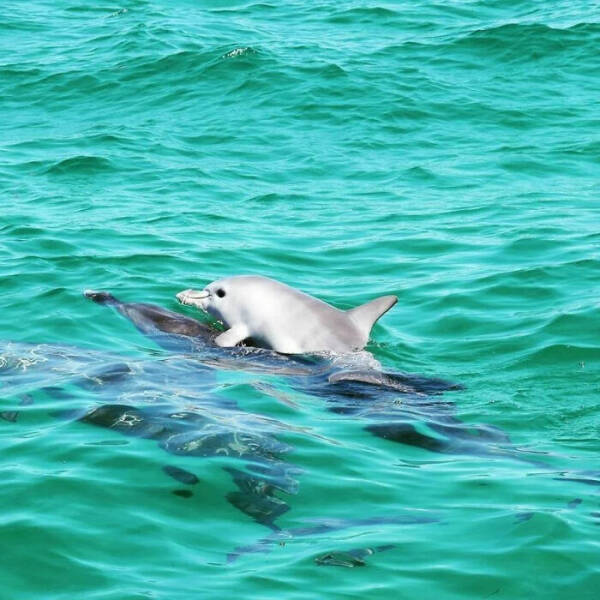 stunning_ocean_photos_that_reveal_its_deepest_mysteries_640_01.jpg