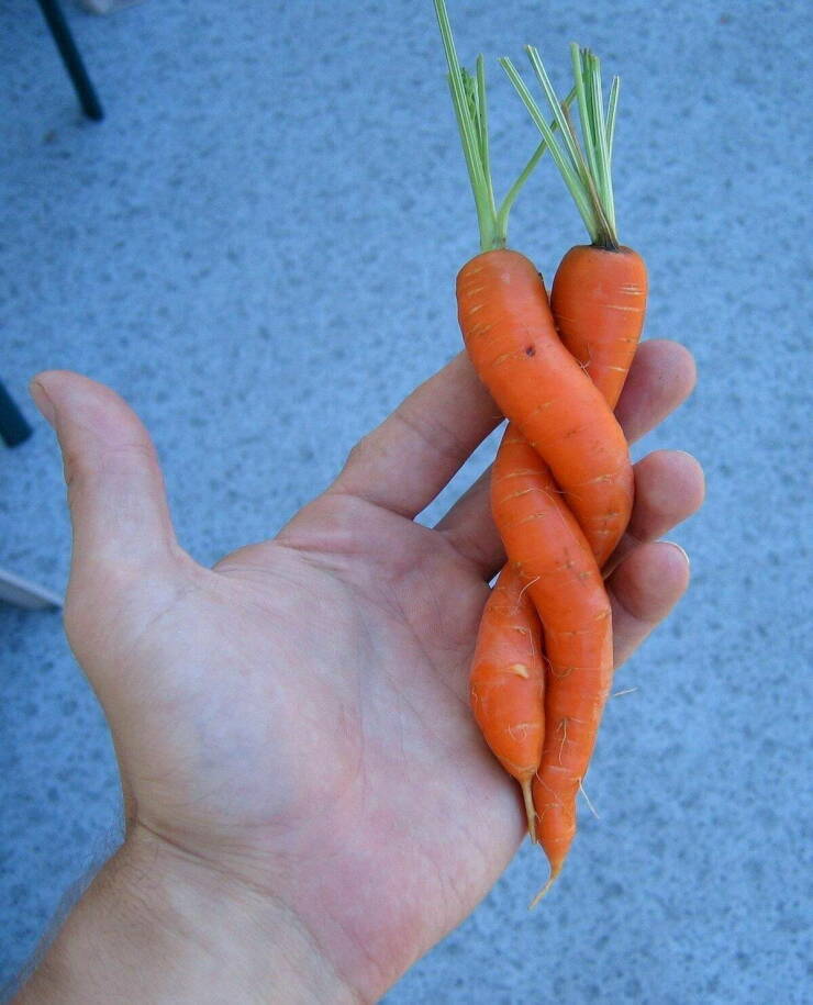 morning_picdump_4136_640_high_45.jpg