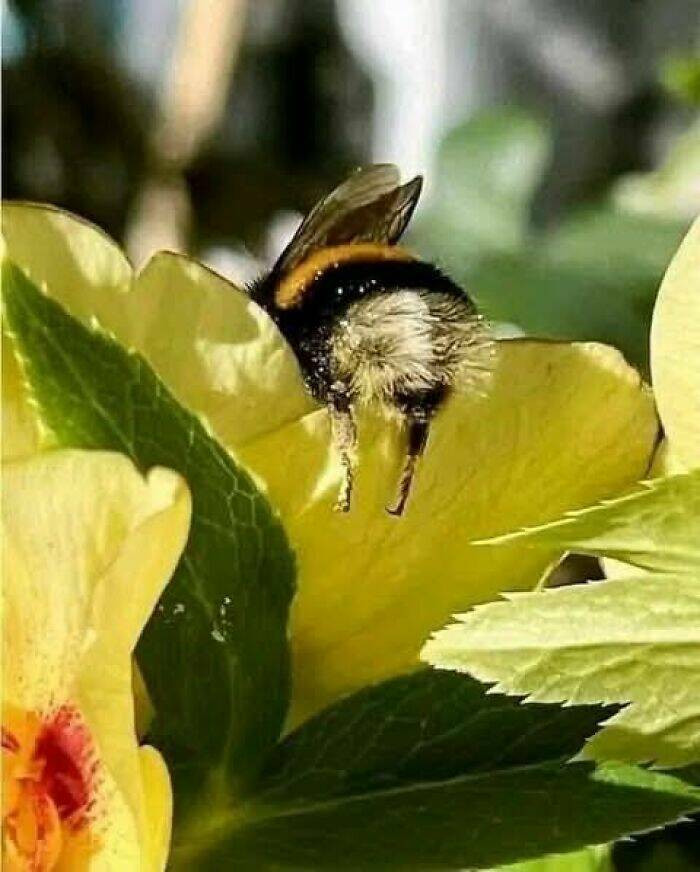 hidden_wonders_of_nature_that_feel_almost_too_magical_to_be_real_640_high_21.jpg