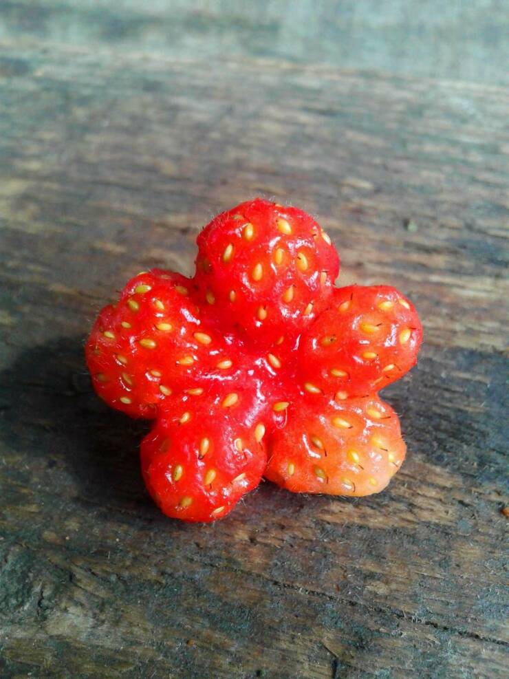 daily_picdump_4958_640_high_11.jpg