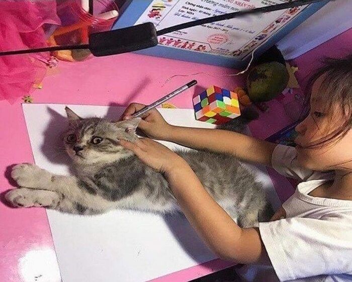 763322911849_n.jpg