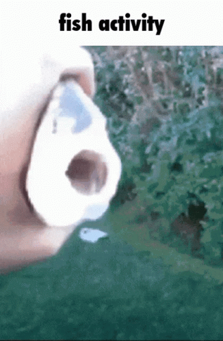 d6ir6i.gif
