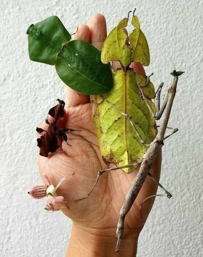 hidden_wonders_of_nature_that_feel_almost_too_magical_to_be_real_640_high_22.jpg