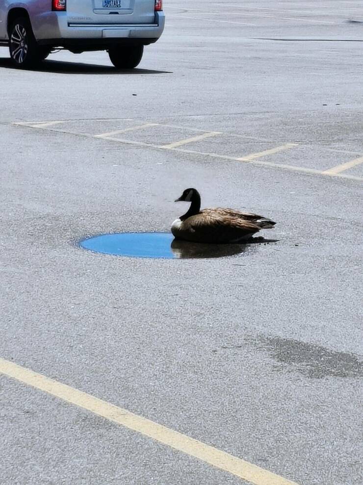 morning_picdump_4173_640_high_39.jpg