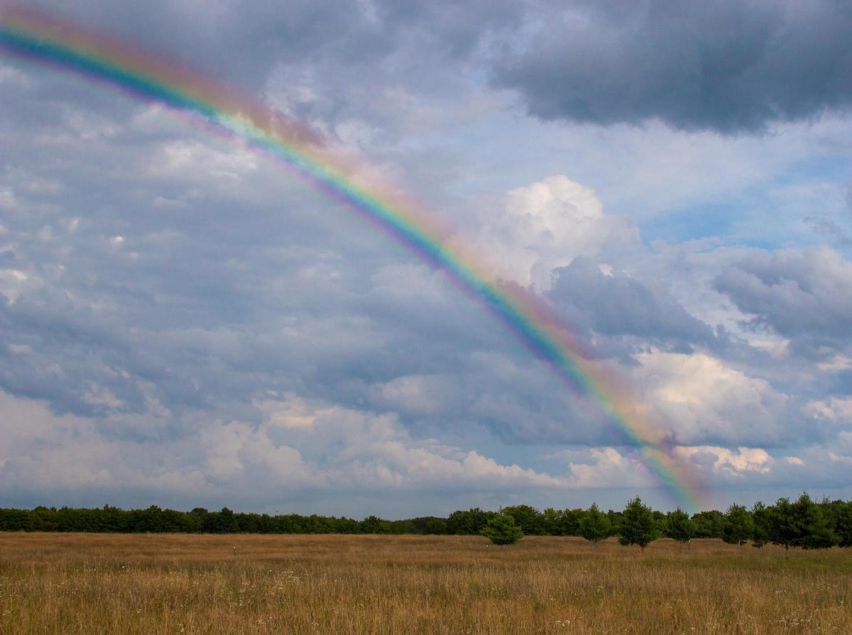 rare-photo-of-a-rainbow-v0-qvsuhiirar7c1.jpeg