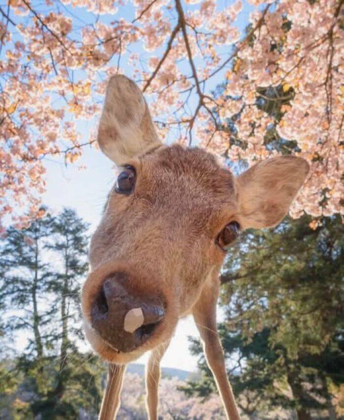 hidden_wonders_of_nature_that_feel_almost_too_magical_to_be_real_640_high_02.jpg