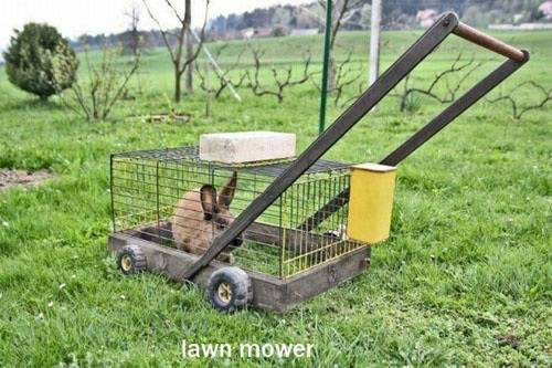lawnmower.png