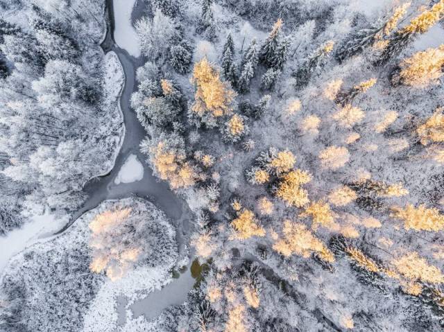 when_winter_comes_to_lapland_it_makes_it_a_magical_place_640_48.jpg