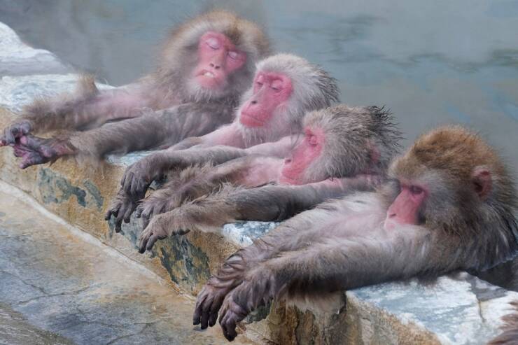 daily_picdump_4928_640_19.jpg