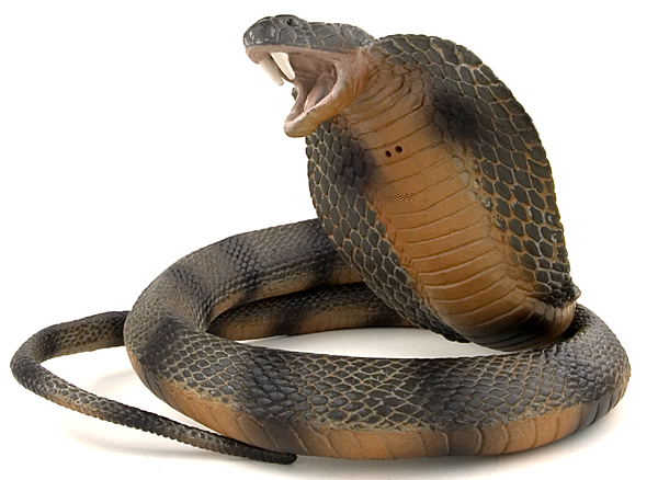 cobra-snake-plastic-f450.jpg
