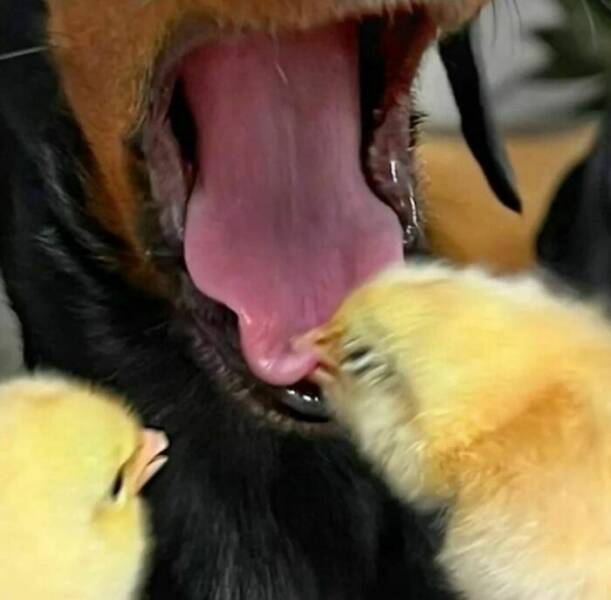 unsettling_photos_that_will_leave_you_feeling_uneasy_640_20.jpg