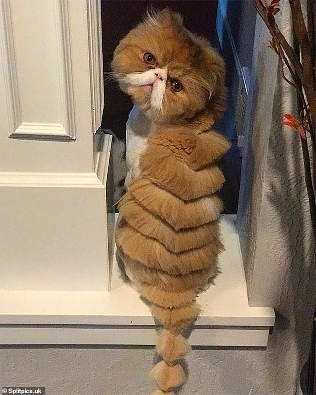 awtawt.jpg