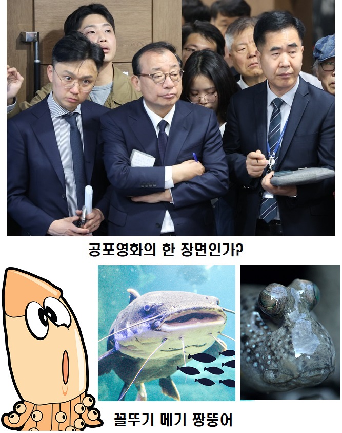 88777778.jpg
