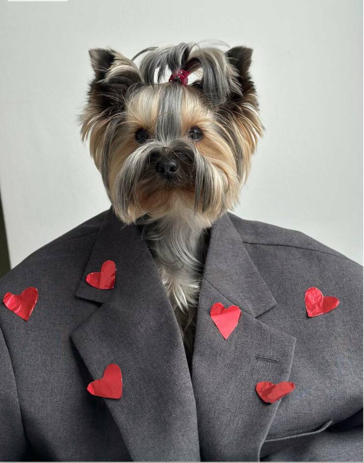 daily_picdump_4926_640_high_01.jpg