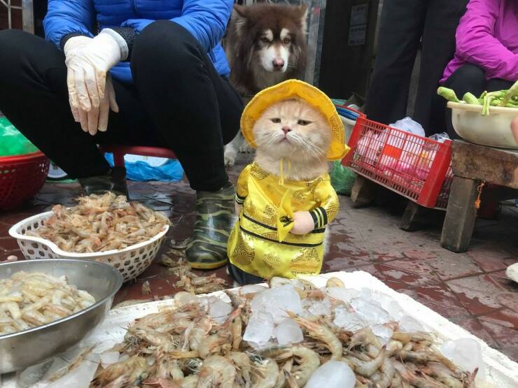 daily_picdump_4922_640_50.jpg