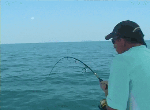 e6w6.gif
