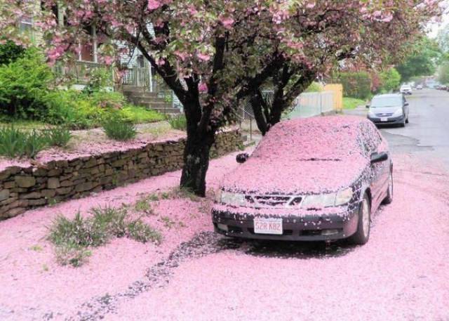 morning_picdump_2100_640_13.jpg