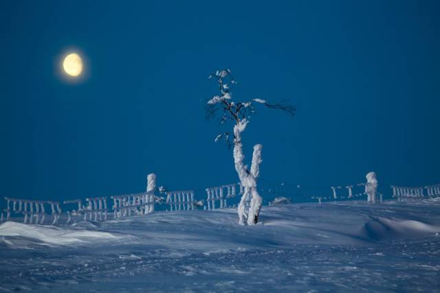 when_winter_comes_to_lapland_it_makes_it_a_magical_place_640_59.jpg