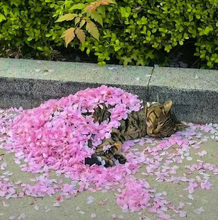daily_picdump_4952_640_high_55.jpg