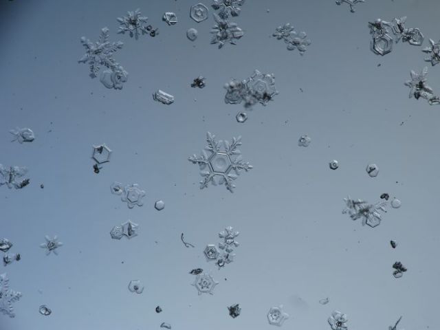 incredible_macro_photos_of_snowflakes_640_08.jpg