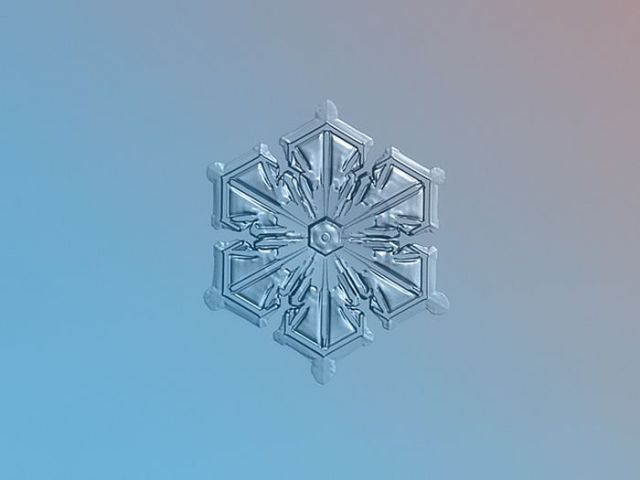 incredible_macro_photos_of_snowflakes_640_11.jpg